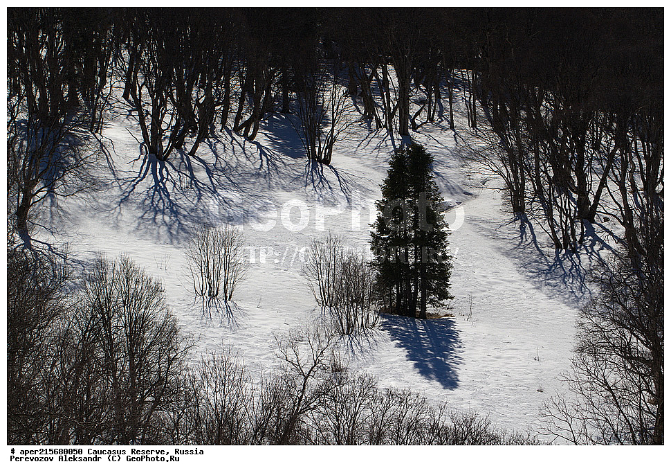 ������������� ����, ���������� ������, ���������-���������� ����������, ������, ���, ������, �������� ������, ���������� ��������������� ����������, ���������� ��������������� ��������� ���������� ���������� ����� �. �. �����������, ����, �����, �������, ������, �������� �����