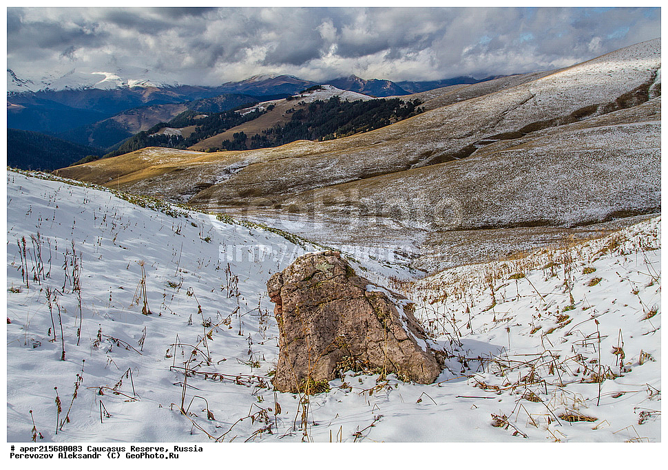 ������������� ����, ���������� ������, ���������-���������� ����������, ������, ���, ������, �������� ������, ���������� ��������������� ����������, ���������� ��������������� ��������� ���������� ���������� ����� �. �. �����������, �����, ������������� ���, ������������� ����, ����, �������