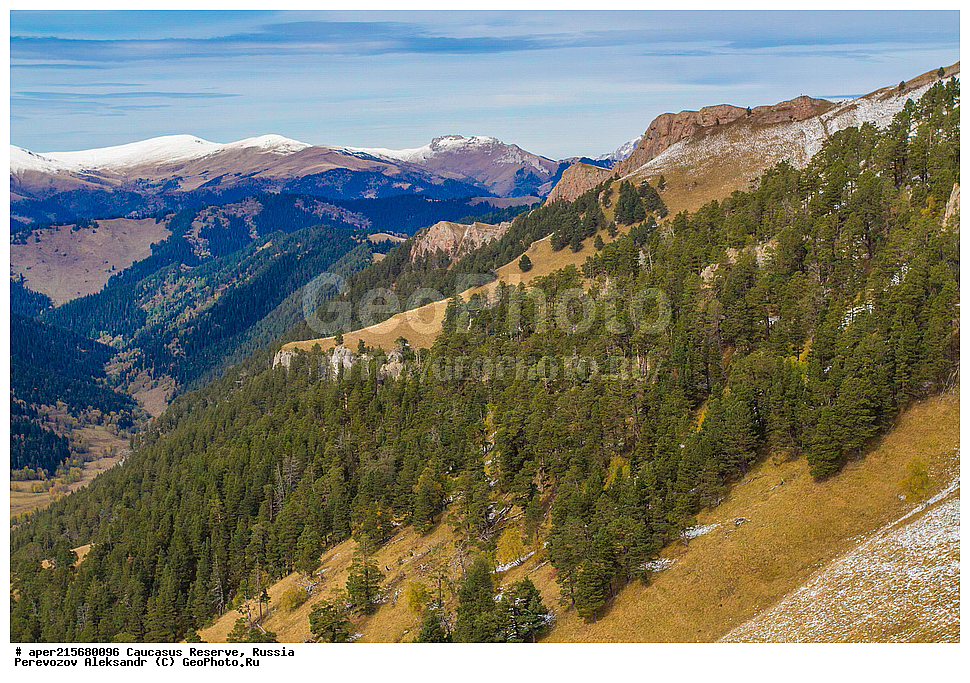 ������������� ����, ���������� ������, ���������-���������� ����������, ������, ���, ������, �������� ������, ���������� ��������������� ����������, ���������� ��������������� ��������� ���������� ���������� ����� �. �. �����������, �������