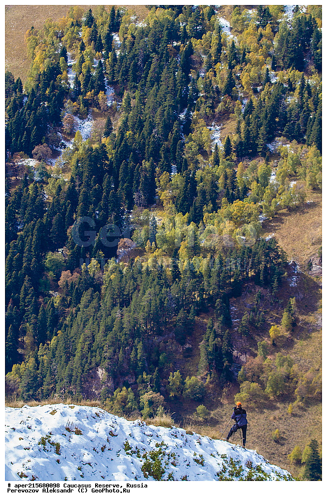 ������������� ����, ���������� ������, ���������-���������� ����������, ������, ���, ������, �������� ������, ���������� ��������������� ����������, ���������� ��������������� ��������� ���������� ���������� ����� �. �. �����������, �����, ��������� ���