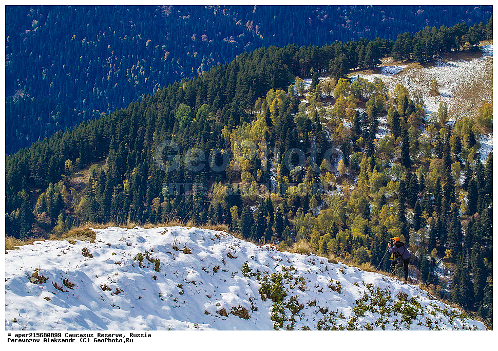 ������������� ����, ���������� ������, ���������-���������� ����������, ������, ���, ������, �������� ������, ���������� ��������������� ����������, ���������� ��������������� ��������� ���������� ���������� ����� �. �. �����������, �����, ��������� ���