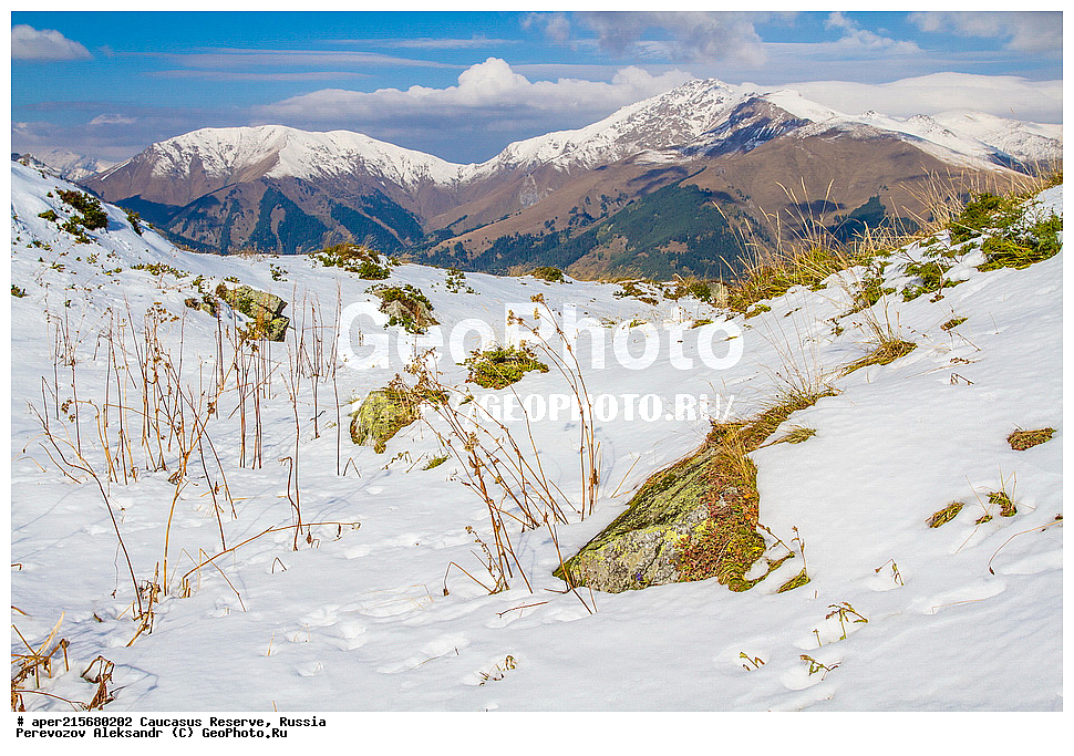 ������������� ����, ���������� ������, ���������-���������� ����������, ������, ���, ������, �������� ������, ���������� ��������������� ����������, ���������� ��������������� ��������� ���������� ���������� ����� �. �. �����������, �����, ������������� ���, ������������� ����, ������, ����� ��������