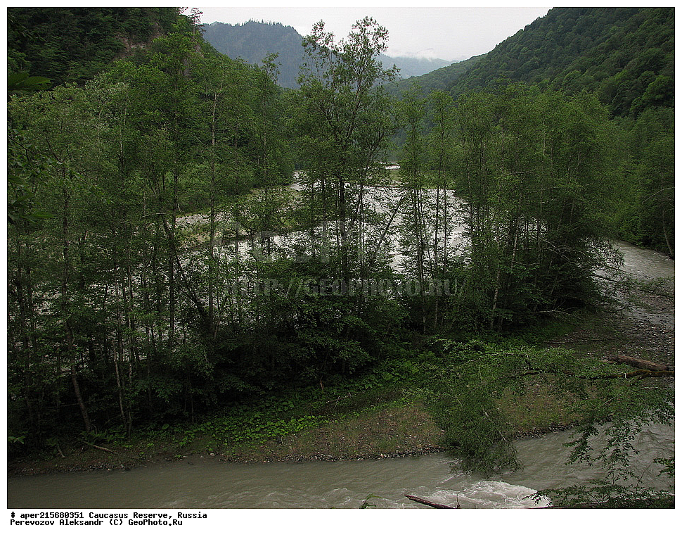 ������������� ����, ���������� ������, ���������-���������� ����������, ������, ���, ������, �������� ������, ���������� ��������������� ����������, ���������� ��������������� ��������� ���������� ���������� ����� �. �. �����������, ���������, ����, �����, ���������, ��������, ���������� ���, ��������� ���, �������������� ���