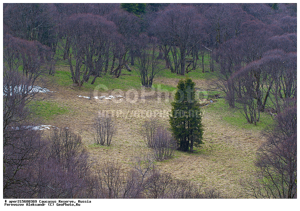 ������������� ����, ���������� ������, ���������-���������� ����������, ������, ���, ������, �������� ������, ���������� ��������������� ����������, ���������� ��������������� ��������� ���������� ���������� ����� �. �. �����������, �����, �����, �������, ������, �������� �����