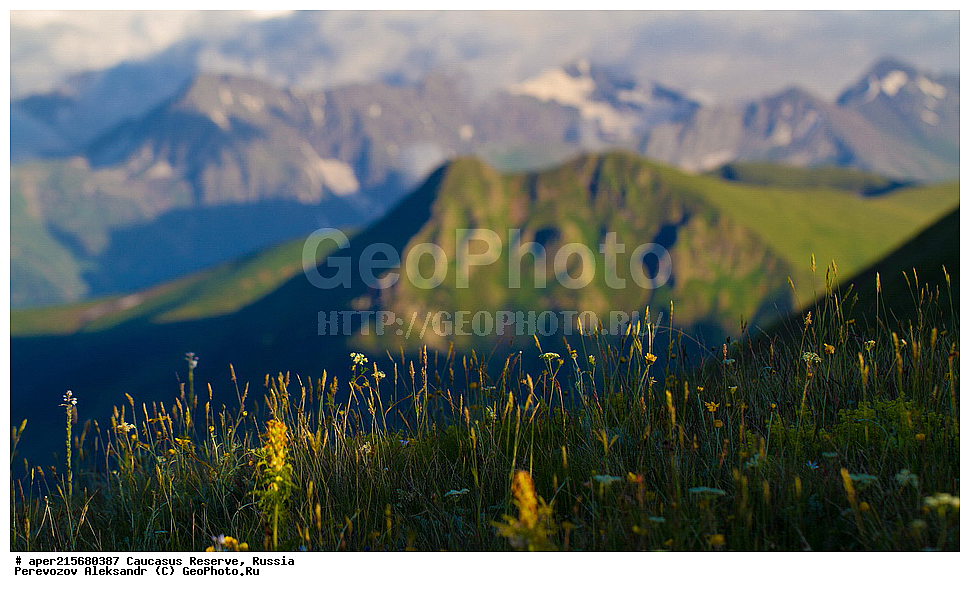 ������������� ����, ���������� ������, ���������-���������� ����������, ������, ���, ������, �������� ������, ���������� ��������������� ����������, ���������� ��������������� ��������� ���������� ���������� ����� �. �. �����������, ����, ������������� ���, ������������� ����, �����, ������, ����