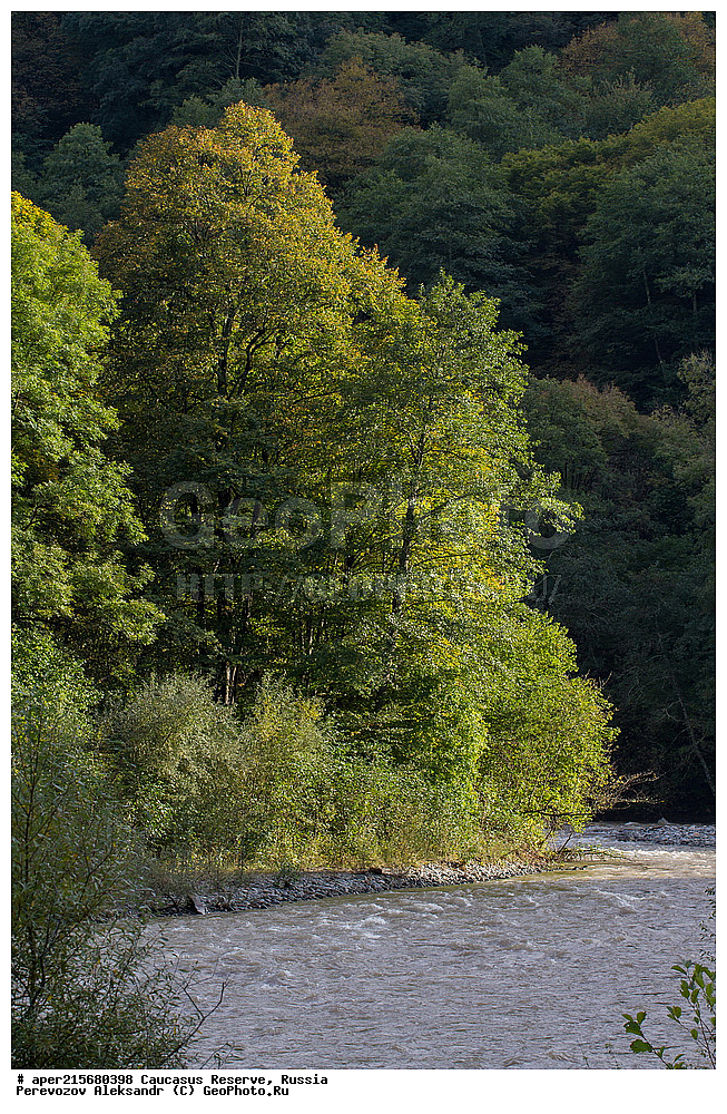 ������������� ����, ���������� ������, ���������-���������� ����������, ������, ���, ������, �������� ������, ���������� ��������������� ����������, ���������� ��������������� ��������� ���������� ���������� ����� �. �. �����������, ���������, ����, �����, ���������, ��������, ���������� ���, ��������� ���, �������������� ���