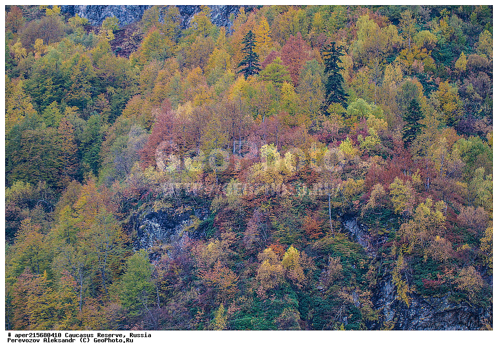 ������������� ����, ���������� ������, ���������-���������� ����������, ������, ���, ������, �������� ������, ���������� ��������������� ����������, ���������� ��������������� ��������� ���������� ���������� ����� �. �. �����������, �����, ��������� ���