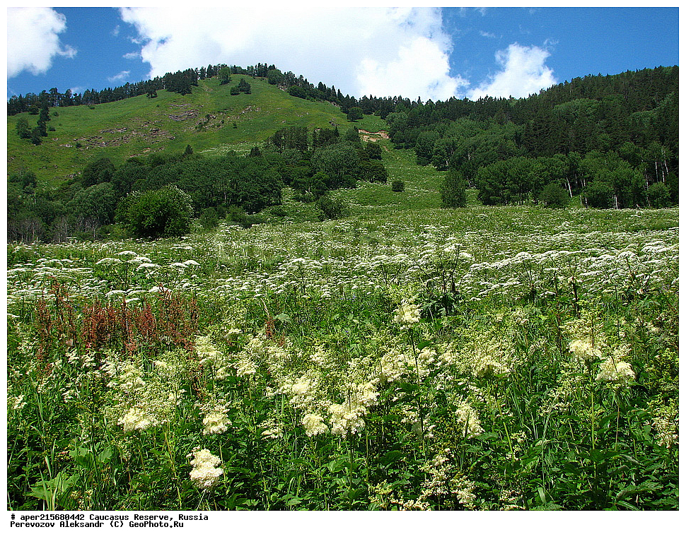 ������������� ����, ���������� ������, ���������-���������� ����������, ������, ���, ������, �������� ������, ���������� ��������������� ����������, ���������� ��������������� ��������� ���������� ���������� ����� �. �. �����������, ����, ������������� ���, ������������� ����, �����, ������, ����