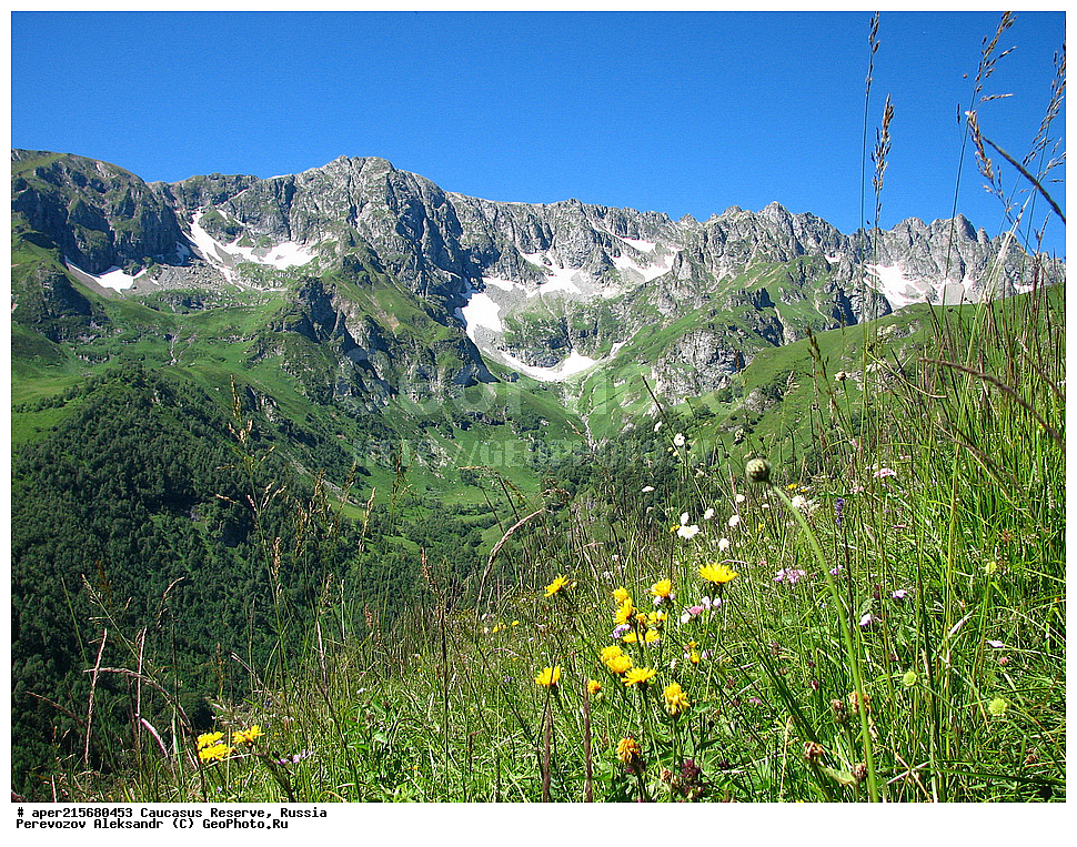 ������������� ����, ���������� ������, ���������-���������� ����������, ������, ���, ������, �������� ������, ���������� ��������������� ����������, ���������� ��������������� ��������� ���������� ���������� ����� �. �. �����������, ����, ������������� ���, ������������� ����, �����, ������, ����