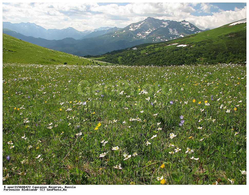 ������������� ����, ���������� ������, ���������-���������� ����������, ������, ���, ������, �������� ������, ���������� ��������������� ����������, ���������� ��������������� ��������� ���������� ���������� ����� �. �. �����������, ����, ������������� ���, ������������� ����, �����, ������, ����