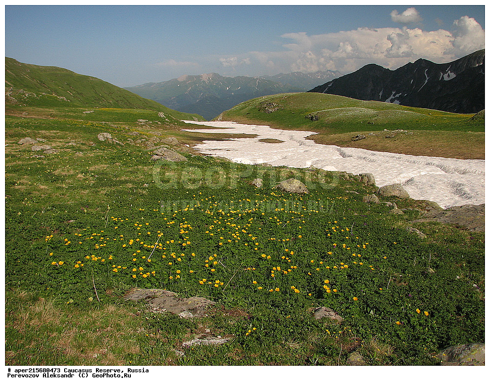 ������������� ����, ���������� ������, ���������-���������� ����������, ������, ���, ������, �������� ������, ���������� ��������������� ����������, ���������� ��������������� ��������� ���������� ���������� ����� �. �. �����������, ����, ������������� ���, ������������� ����, �����, ������, ����