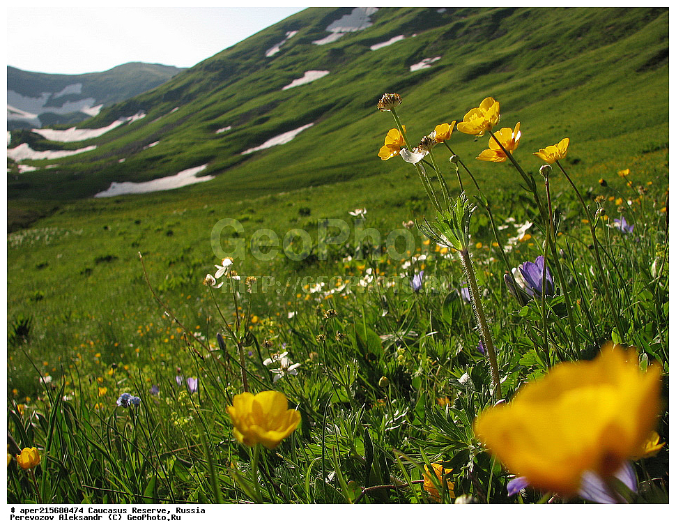 ������������� ����, ���������� ������, ���������-���������� ����������, ������, ���, ������, �������� ������, ���������� ��������������� ����������, ���������� ��������������� ��������� ���������� ���������� ����� �. �. �����������, ����, ������������� ���, ������������� ����, �����, ������, ����