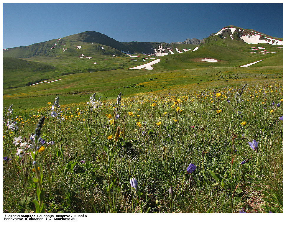 ������������� ����, ���������� ������, ���������-���������� ����������, ������, ���, ������, �������� ������, ���������� ��������������� ����������, ���������� ��������������� ��������� ���������� ���������� ����� �. �. �����������, ����, ������������� ���, ������������� ����, �����, ������, ����