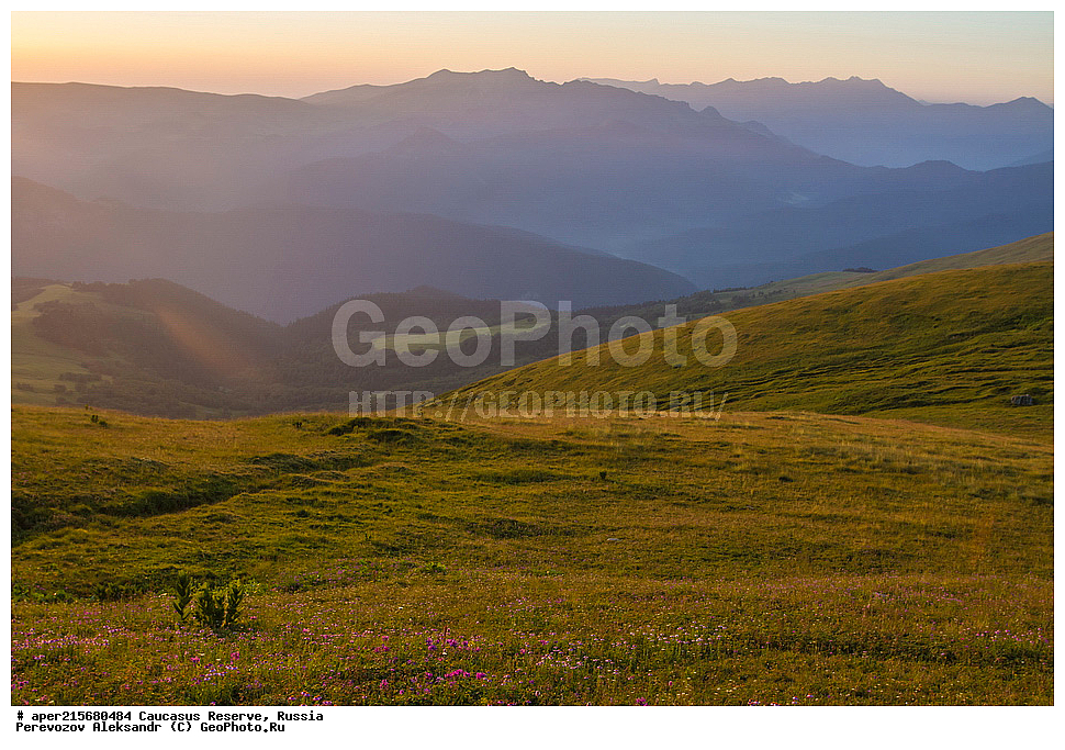 ������������� ����, ���������� ������, ���������-���������� ����������, ������, ���, ������, �������� ������, ���������� ��������������� ����������, ���������� ��������������� ��������� ���������� ���������� ����� �. �. �����������, ����, ������������� ���, ������������� ����, �����, ������, ����