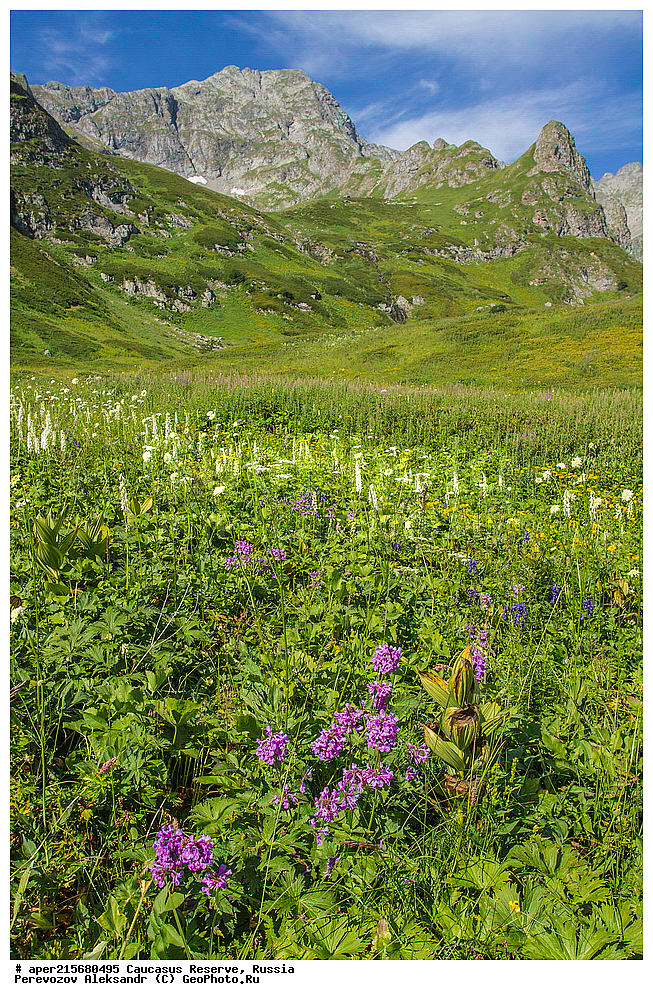 ������������� ����, ���������� ������, ���������-���������� ����������, ������, ���, ������, �������� ������, ���������� ��������������� ����������, ���������� ��������������� ��������� ���������� ���������� ����� �. �. �����������, ����, ������������� ���, ������������� ����, �����, ������, ����