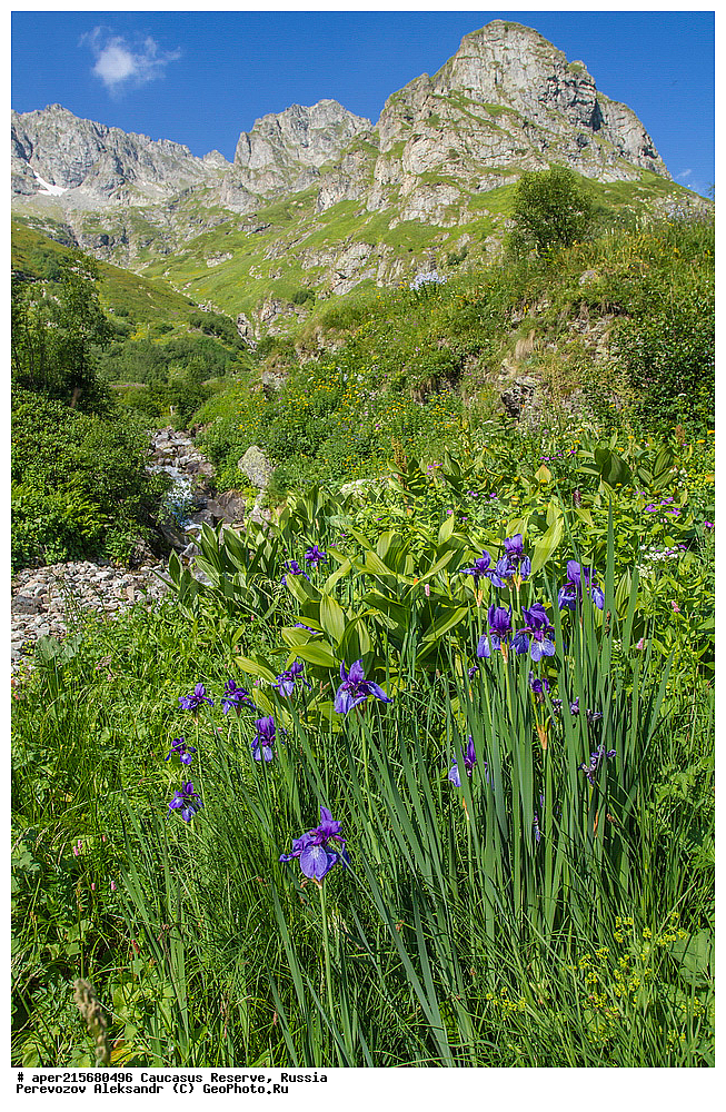 ������������� ����, ���������� ������, ���������-���������� ����������, ������, ���, ������, �������� ������, ���������� ��������������� ����������, ���������� ��������������� ��������� ���������� ���������� ����� �. �. �����������, ����, ������������� ���, ������������� ����, �����, ������, ����