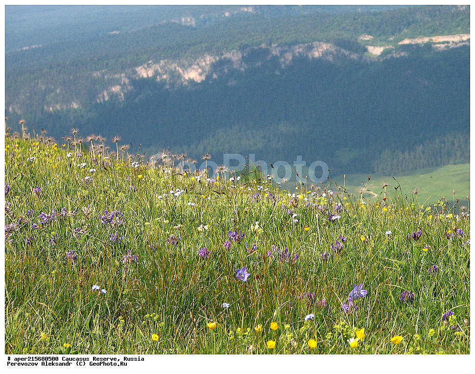 ������������� ����, ���������� ������, ���������-���������� ����������, ������, ���, ������, �������� ������, ���������� ��������������� ����������, ���������� ��������������� ��������� ���������� ���������� ����� �. �. �����������, ����, ������������� ���, ������������� ����, ����������� �������