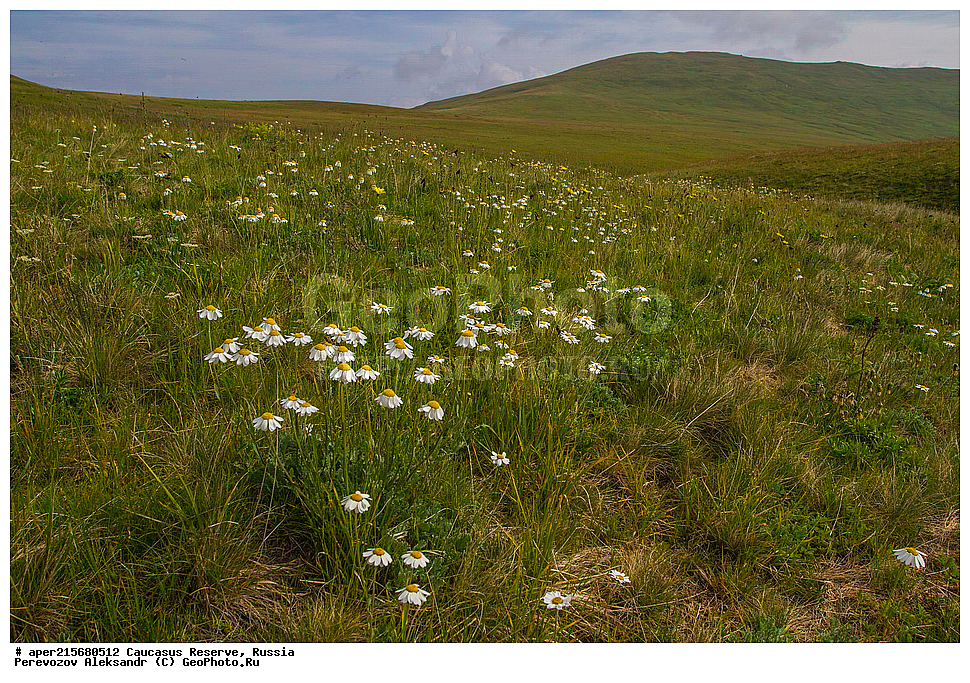 ������������� ����, ���������� ������, ���������-���������� ����������, ������, ���, ������, �������� ������, ���������� ��������������� ����������, ���������� ��������������� ��������� ���������� ���������� ����� �. �. �����������, ����, ������������� ���, ������������� ����, �����, ������, ����