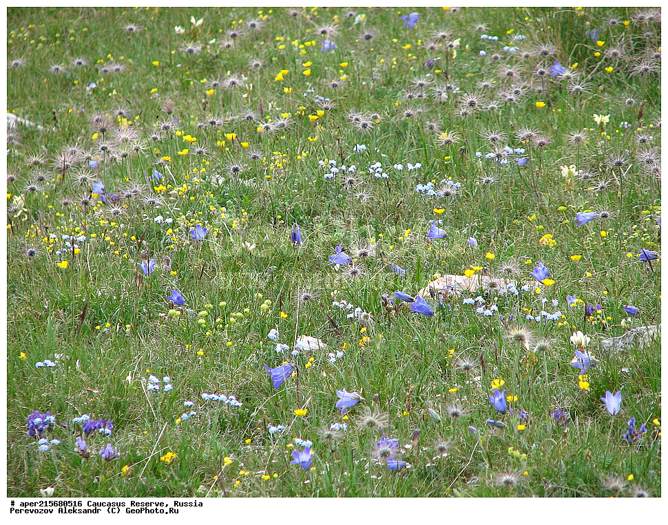 ������������� ����, ���������� ������, ���������-���������� ����������, ������, ���, ������, �������� ������, ���������� ��������������� ����������, ���������� ��������������� ��������� ���������� ���������� ����� �. �. �����������, ����, ������������� ���, ������������� ����, �����, ������, ����