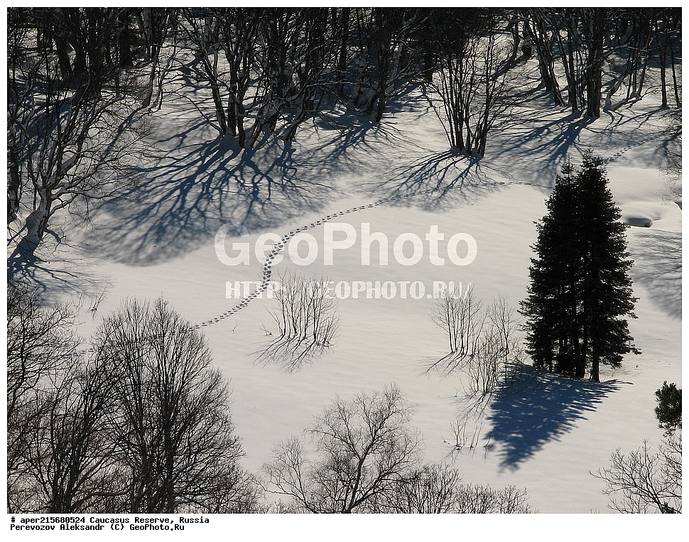 ������������� ����, ���������� ������, ���������-���������� ����������, ������, ���, ������, �������� ������, ���������� ��������������� ����������, ���������� ��������������� ��������� ���������� ���������� ����� �. �. �����������, ����, �����, �������, ������, �������� �����