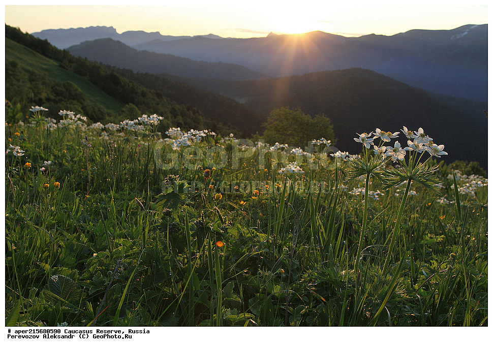 ������������� ����, ���������� ������, ���������-���������� ����������, ������, ���, ������, �������� ������, ���������� ��������������� ����������, ���������� ��������������� ��������� ���������� ���������� ����� �. �. �����������, ����, ������������� ���, ������������� ����, �����, ����, �����