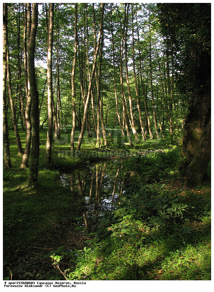 ������������� ����, ���������� ������, ���������-���������� ����������, ������, ���, ������, �������� ������, ���������� ��������������� ����������, ���������� ��������������� ��������� ���������� ���������� ����� �. �. �����������, ���������, ����, �����, ���������, ��������, ���������� ���, ��������� ���, �������������� ���