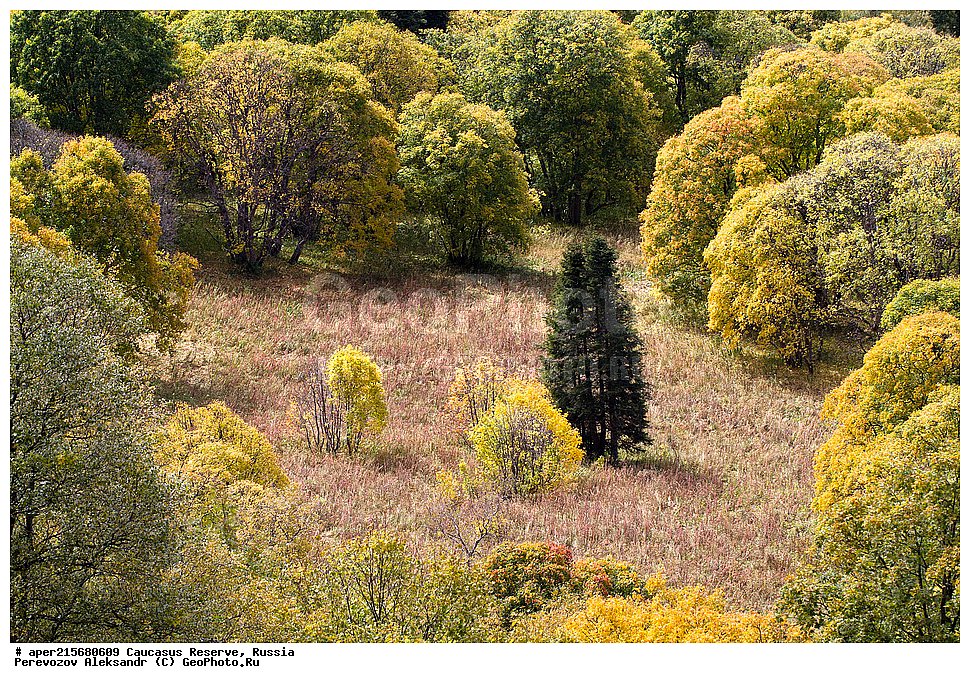 ������������� ����, ���������� ������, ���������-���������� ����������, ������, ���, ������, �������� ������, ���������� ��������������� ����������, ���������� ��������������� ��������� ���������� ���������� ����� �. �. �����������, �����, �����, �������, ������, �������� �����