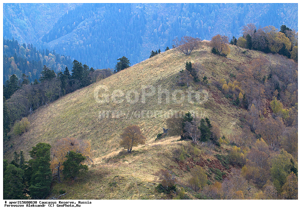 ������������� ����, ���������� ������, ���������-���������� ����������, ������, ���, ������, �������� ������, ���������� ��������������� ����������, ���������� ��������������� ��������� ���������� ���������� ����� �. �. �����������, �����, ��������� ���