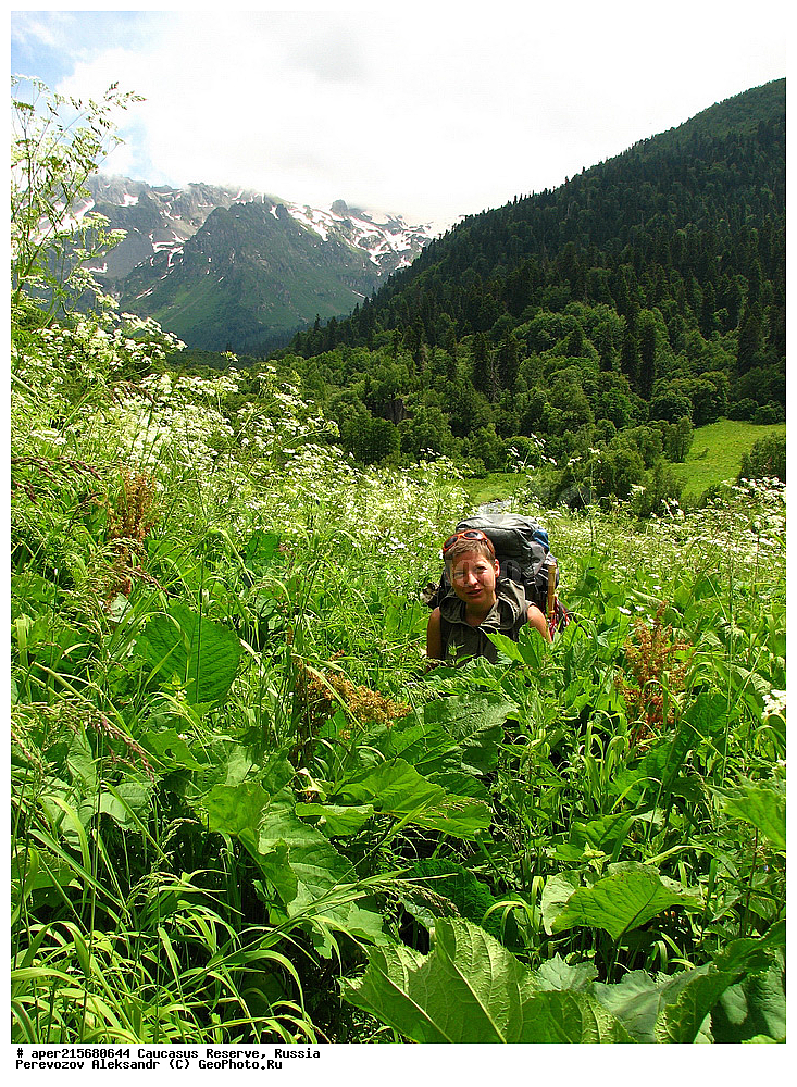 ������������� ����, ���������� ������, ���������-���������� ����������, ������, ���, ������, �������� ������, ���������� ��������������� ����������, ���������� ��������������� ��������� ���������� ���������� ����� �. �. �����������, ����, ������������� ���, ������������� ����, ������, ����, ������