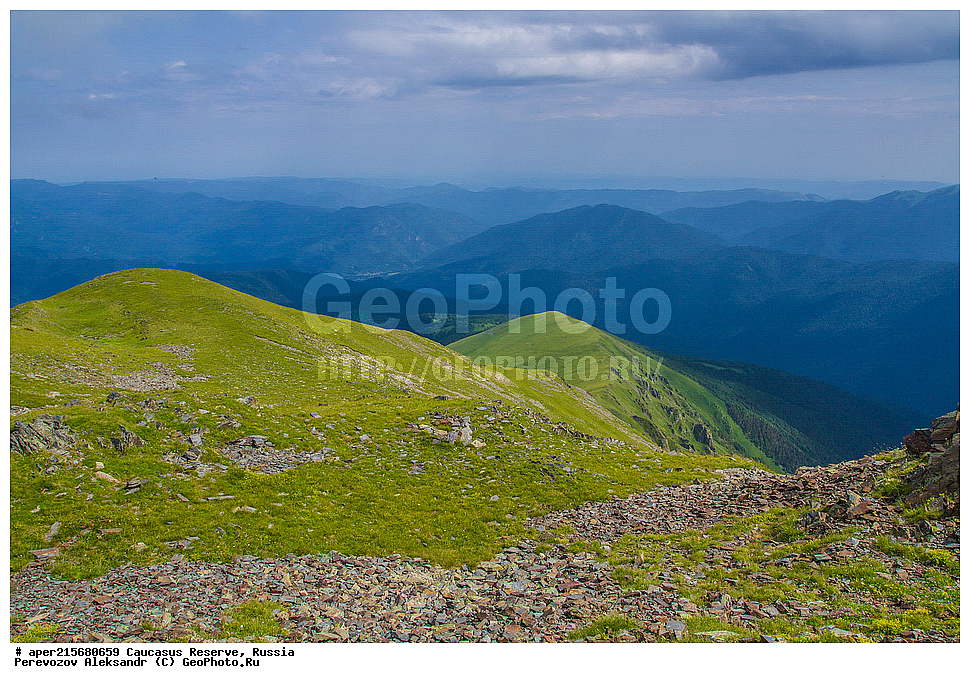 ������������� ����, ���������� ������, ���������-���������� ����������, ������, ���, ������, �������� ������, ���������� ��������������� ����������, ���������� ��������������� ��������� ���������� ���������� ����� �. �. �����������, ���� �����, ����, ���������� ���, ���������� ����