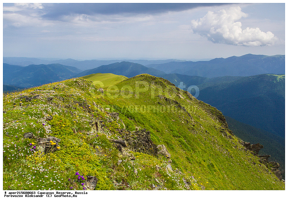 ������������� ����, ���������� ������, ���������-���������� ����������, ������, ���, ������, �������� ������, ���������� ��������������� ����������, ���������� ��������������� ��������� ���������� ���������� ����� �. �. �����������, ���� �����, ����, ���������� ���, ���������� ����