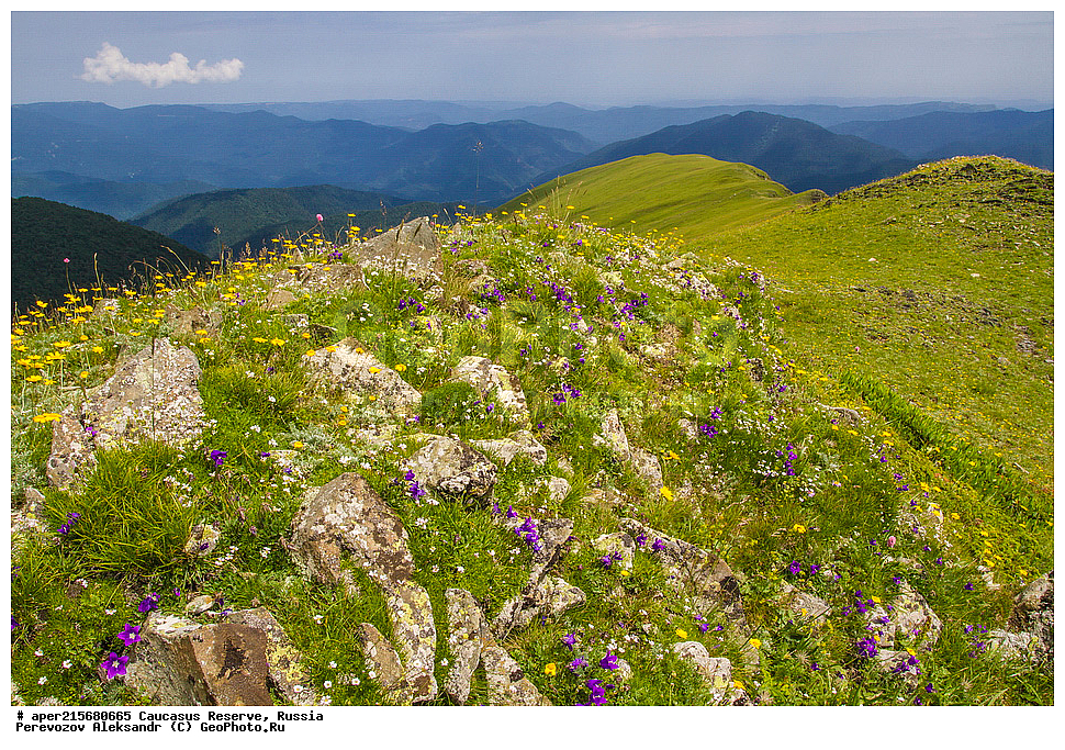 ������������� ����, ���������� ������, ���������-���������� ����������, ������, ���, ������, �������� ������, ���������� ��������������� ����������, ���������� ��������������� ��������� ���������� ���������� ����� �. �. �����������, ���� �����, ����, ���������� ���, ���������� ����