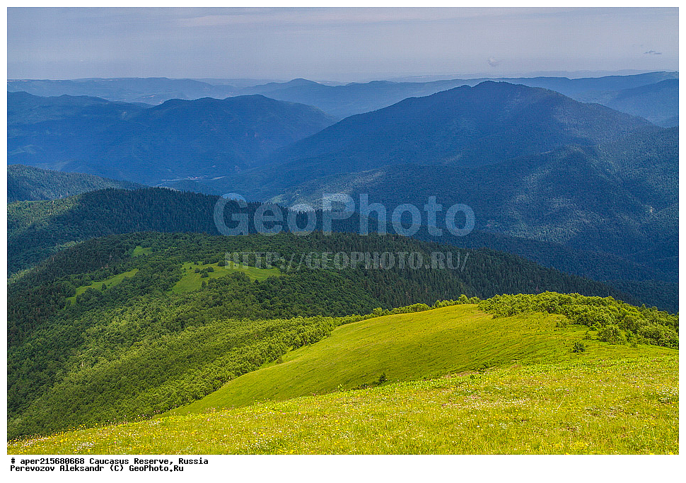 ������������� ����, ���������� ������, ���������-���������� ����������, ������, ���, ������, �������� ������, ���������� ��������������� ����������, ���������� ��������������� ��������� ���������� ���������� ����� �. �. �����������, ����, ������������� ���, ������������� ����, �����, ����