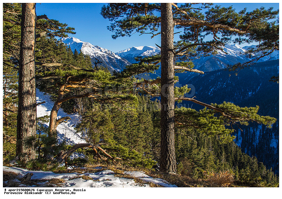 ������������� ����, ���������� ������, ���������-���������� ����������, ������, ���, ������, �������� ������, ���������� ��������������� ����������, ���������� ��������������� ��������� ���������� ���������� ����� �. �. �����������, ������, ����, ���� ����