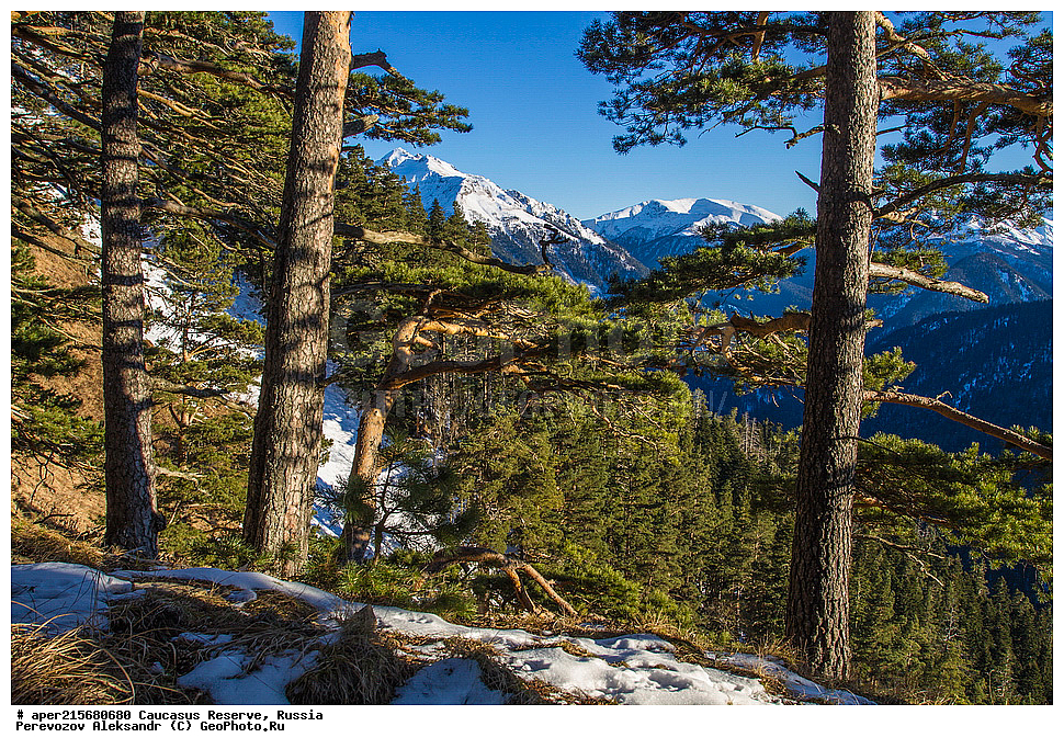 ������������� ����, ���������� ������, ���������-���������� ����������, ������, ���, ������, �������� ������, ���������� ��������������� ����������, ���������� ��������������� ��������� ���������� ���������� ����� �. �. �����������, ������, ����, ���� ����