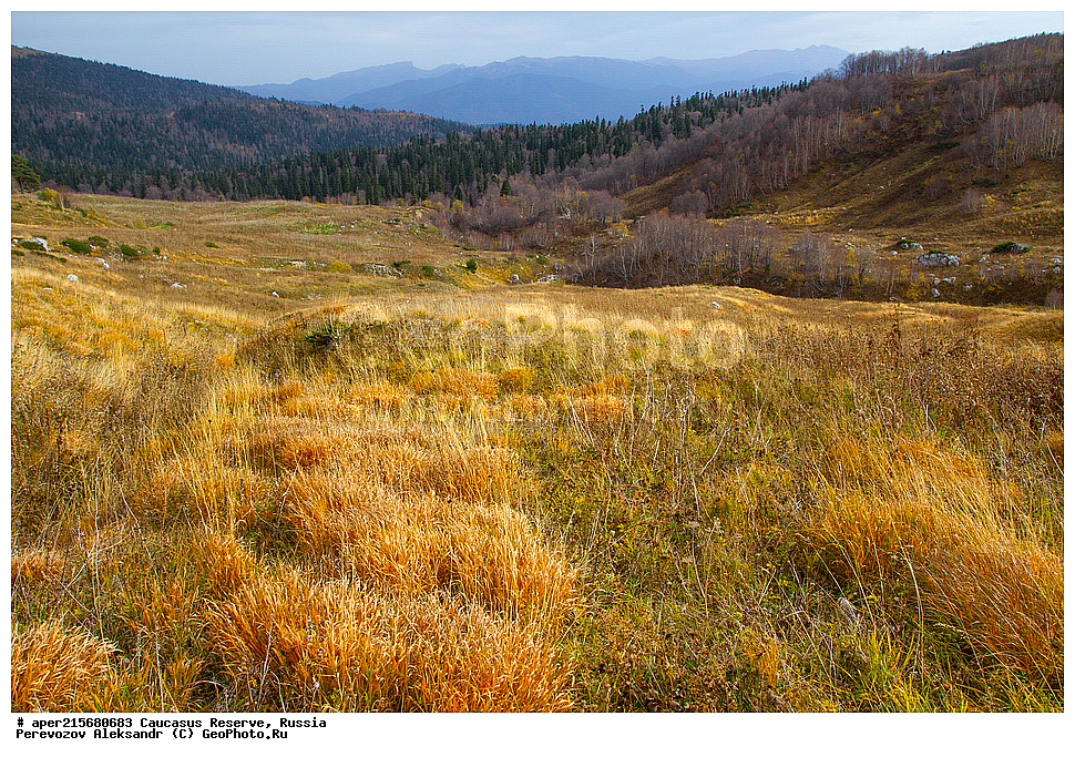 ������������� ����, ���������� ������, ���������-���������� ����������, ������, ���, ������, �������� ������, ���������� ��������������� ����������, ���������� ��������������� ��������� ���������� ���������� ����� �. �. �����������, �����, ������������� ���, ������������� ����, ����������� �������