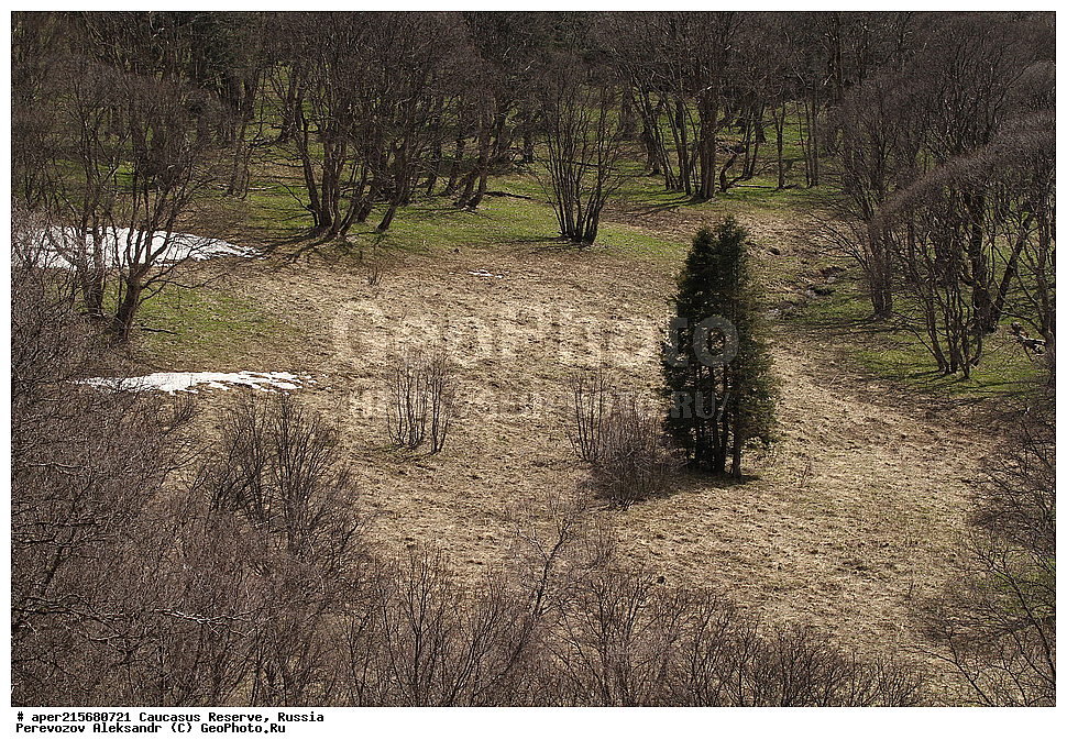 ������������� ����, ���������� ������, ���������-���������� ����������, ������, ���, ������, �������� ������, ���������� ��������������� ����������, ���������� ��������������� ��������� ���������� ���������� ����� �. �. �����������, �����, �����, �������, ������, �������� �����