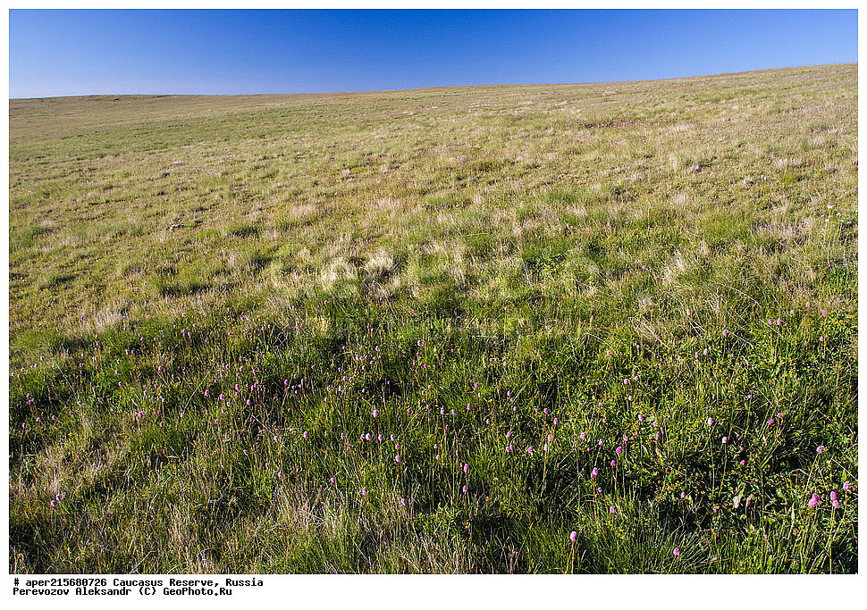 ������������� ����, ���������� ������, ���������-���������� ����������, ������, ���, ������, �������� ������, ���������� ��������������� ����������, ���������� ��������������� ��������� ���������� ���������� ����� �. �. �����������, ����, ����������, �������, ����, �������, ���������� ���, ���������� ����