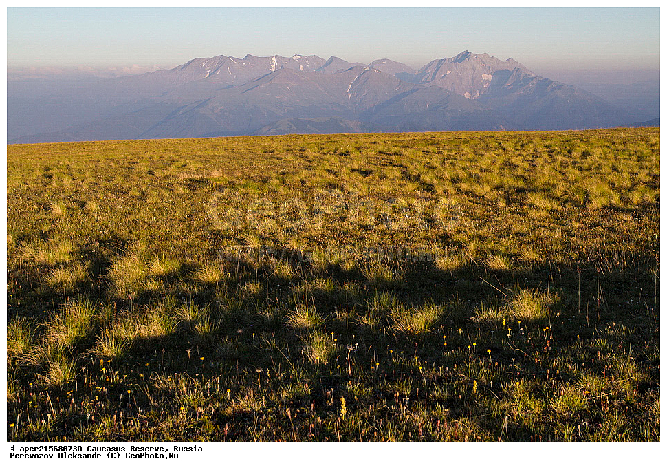 ������������� ����, ���������� ������, ���������-���������� ����������, ������, ���, ������, �������� ������, ���������� ��������������� ����������, ���������� ��������������� ��������� ���������� ���������� ����� �. �. �����������, ����, ����������, �������, ����, �������, ���������� ���, ���������� ����