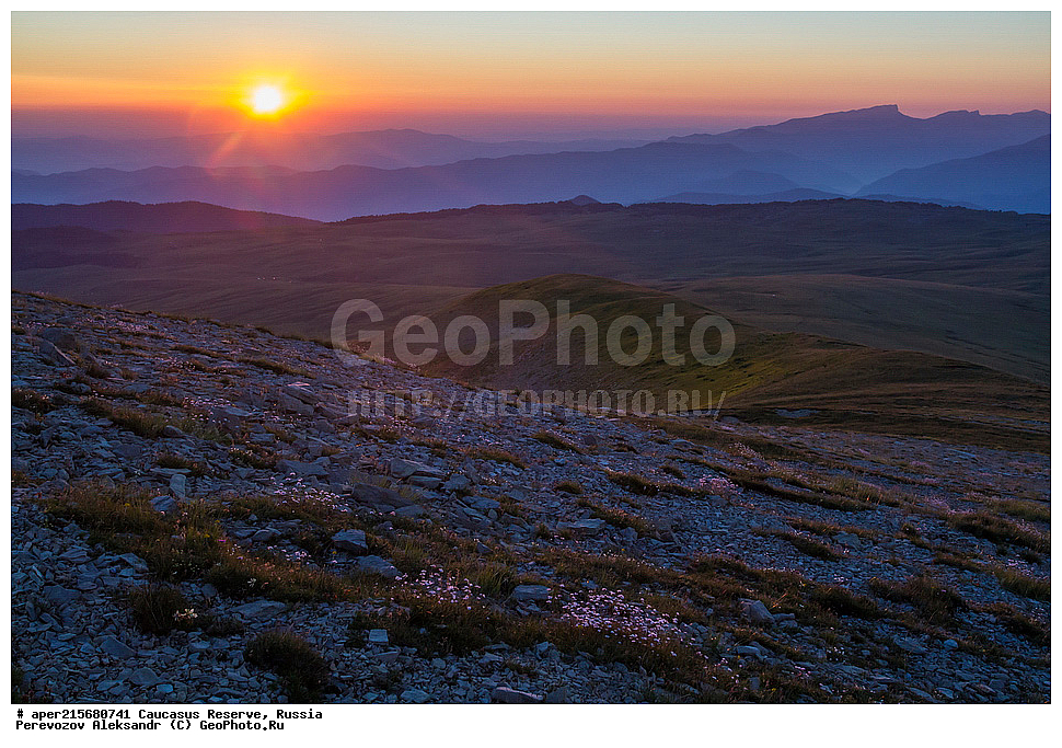 ������������� ����, ���������� ������, ���������-���������� ����������, ������, ���, ������, �������� ������, ���������� ��������������� ����������, ���������� ��������������� ��������� ���������� ���������� ����� �. �. �����������, ����, ����������, �������, ����, �������, ���������� ���, ���������� ����