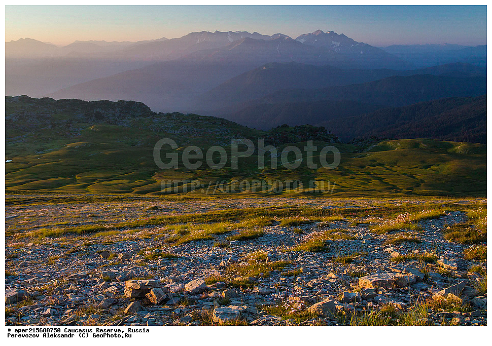 ������������� ����, ���������� ������, ���������-���������� ����������, ������, ���, ������, �������� ������, ���������� ��������������� ����������, ���������� ��������������� ��������� ���������� ���������� ����� �. �. �����������, ����, ����������, �������, ����, �������, ���������� ���, ���������� ����