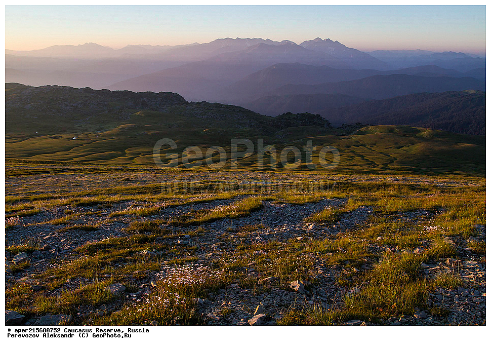 ������������� ����, ���������� ������, ���������-���������� ����������, ������, ���, ������, �������� ������, ���������� ��������������� ����������, ���������� ��������������� ��������� ���������� ���������� ����� �. �. �����������, ����, ����������, �������, ����, �������, ���������� ���, ���������� ����