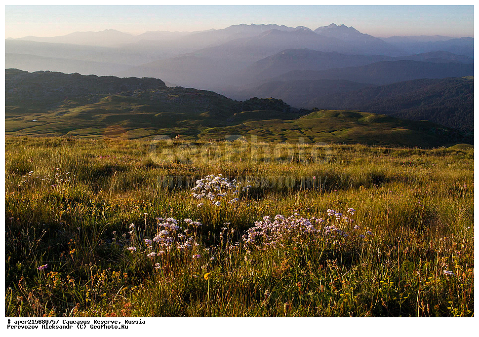 ������������� ����, ���������� ������, ���������-���������� ����������, ������, ���, ������, �������� ������, ���������� ��������������� ����������, ���������� ��������������� ��������� ���������� ���������� ����� �. �. �����������, ����, ������������� ���, ������������� ����, ����������� �������