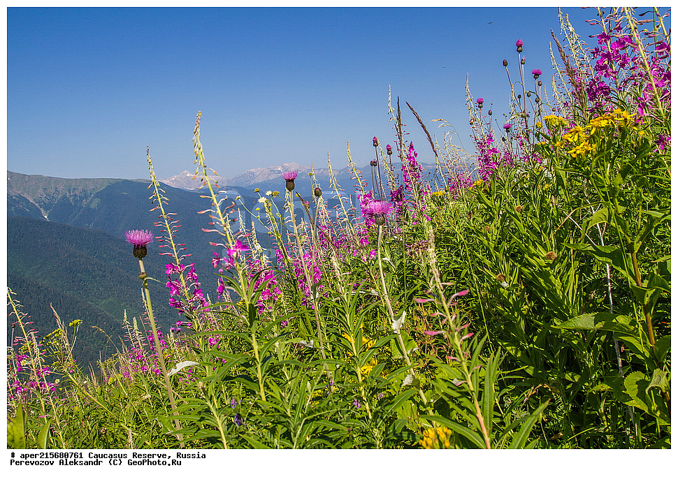  ������������� ����, ���������� ������, ���������-���������� ����������, ������, ���, ������, �������� ������, ���������� ��������������� ����������, ���������� ��������������� ��������� ���������� ���������� ����� �. �. �����������, ����, ������������� ���, ������������� ����, ������, �������� �����