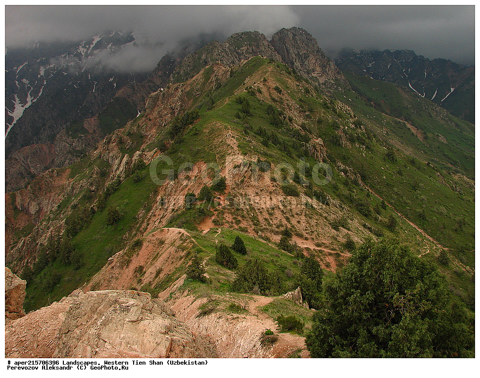 �������� ����-����, ����������, ����������� ����������, ������, ���������, ����, �����, ����, ���������, ������������, ������������ ����������, ����,��������, ������������