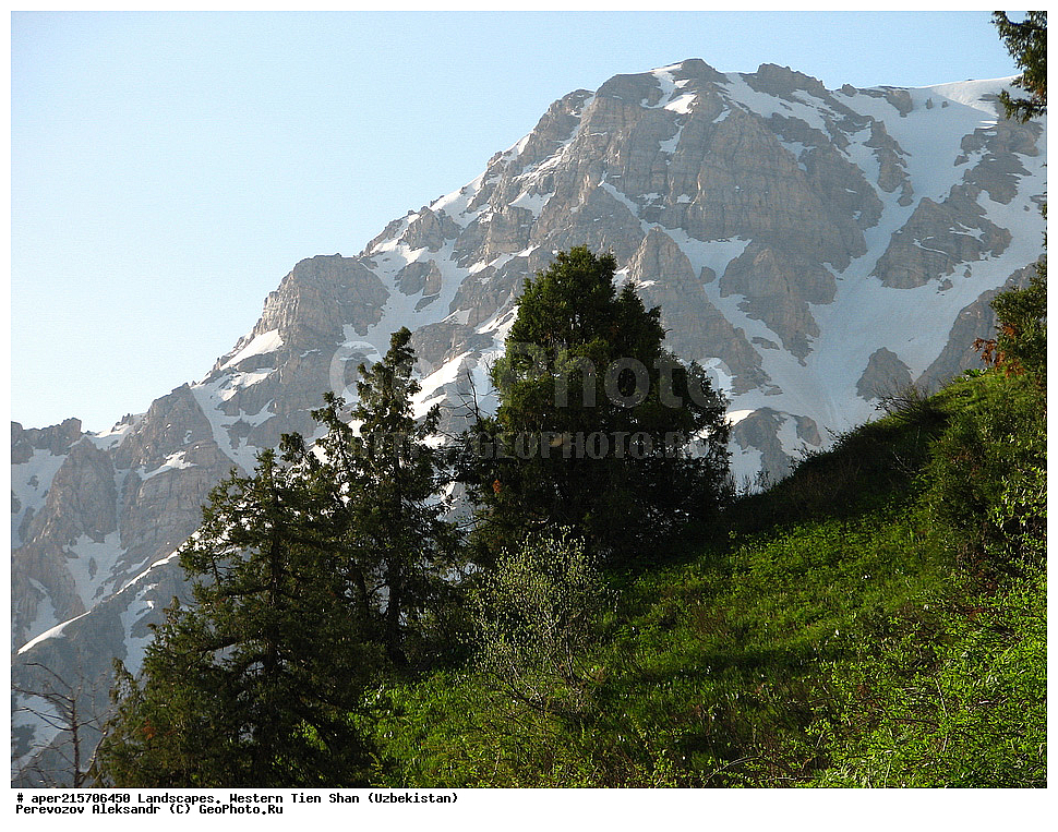 �������� ����-����, ����������, ����������� ����������, ������, ���������, ����, �����, ����, ���������, ������������, ������������ ����������, ����,��������, ������������