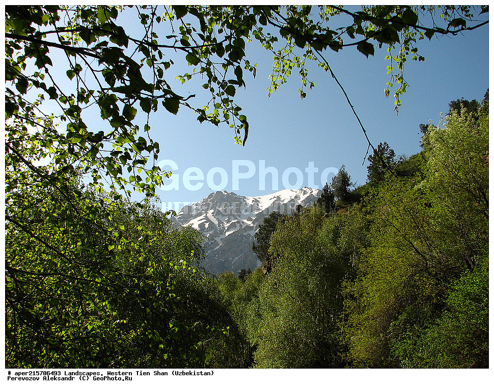 �������� ����-����, ����������, ����������� ����������, ������, ���������, ����, �����, ����, ���������, ������������