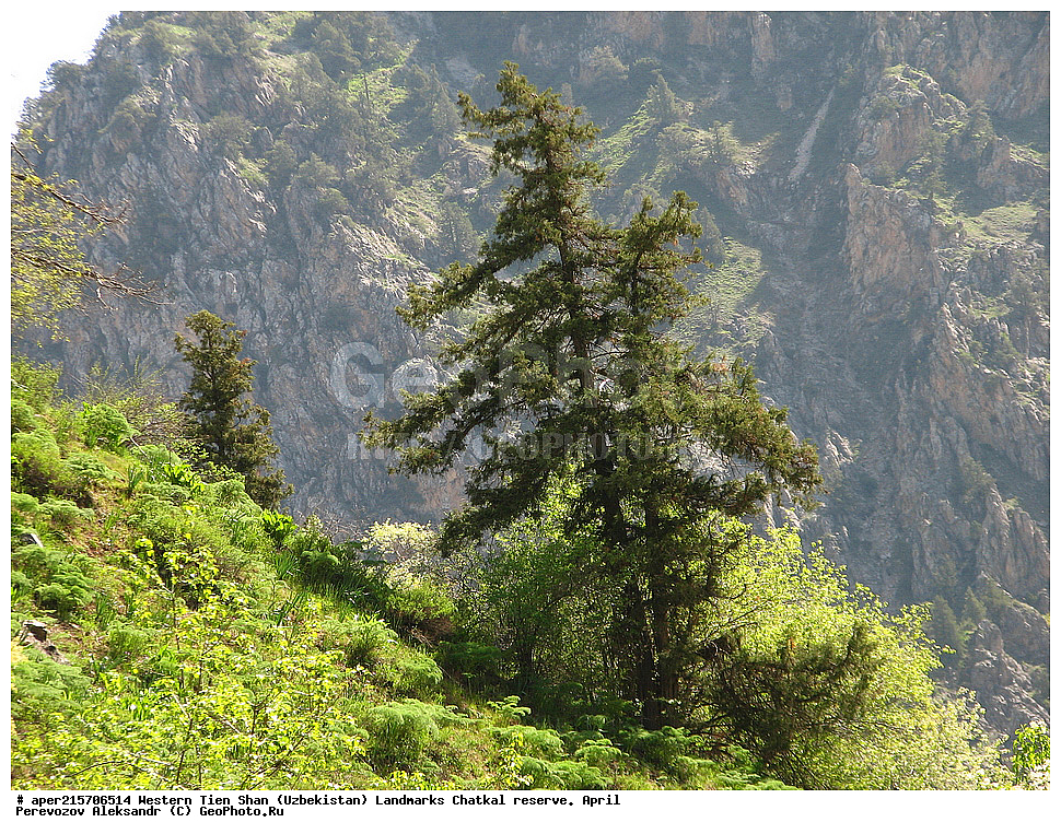  �����, ��������, ��������, ����-����, ����������, ����������� ����������, ������, ������������ 