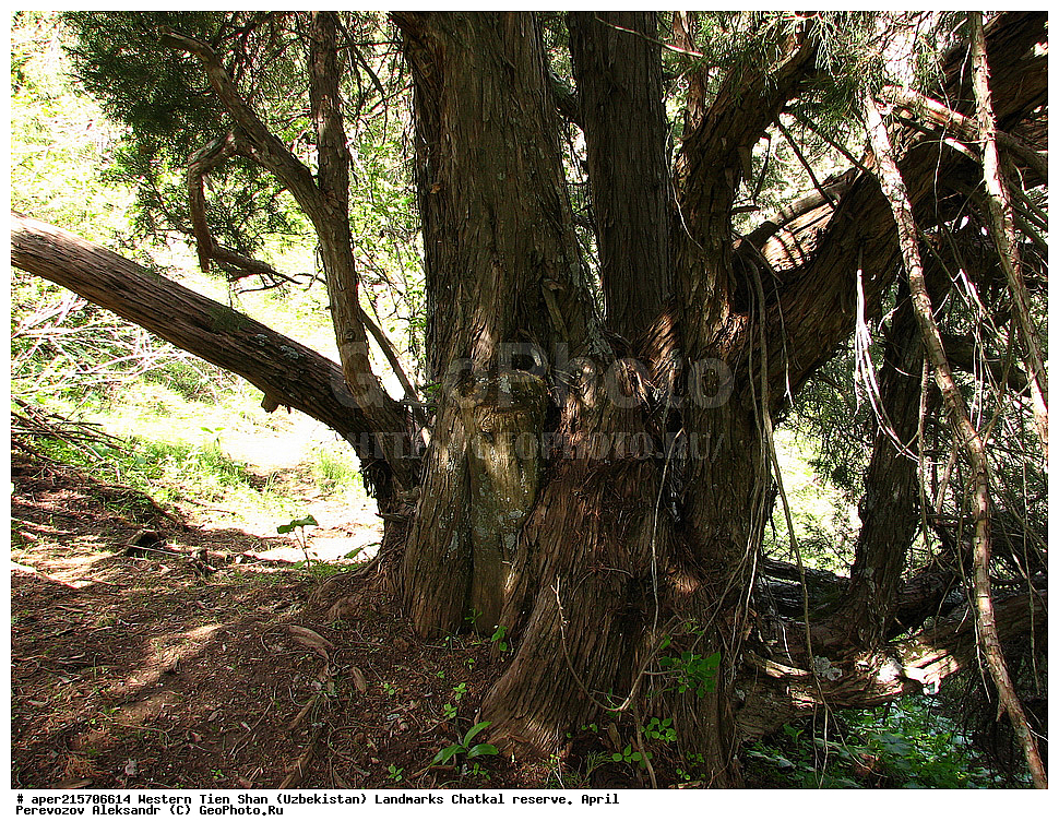  �����, ��������, ��������, ����-����, ����������, ����������� ����������, ������, ������������ 