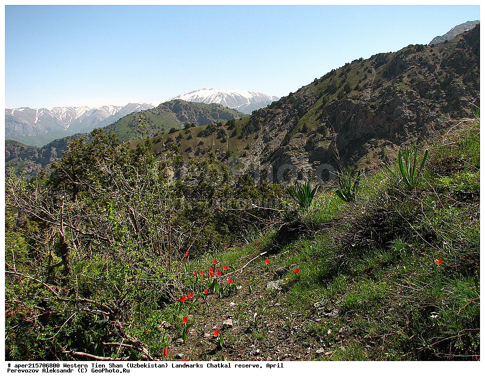  �����, ��������, ��������, ����-����, ����������, ����������� ����������, ������